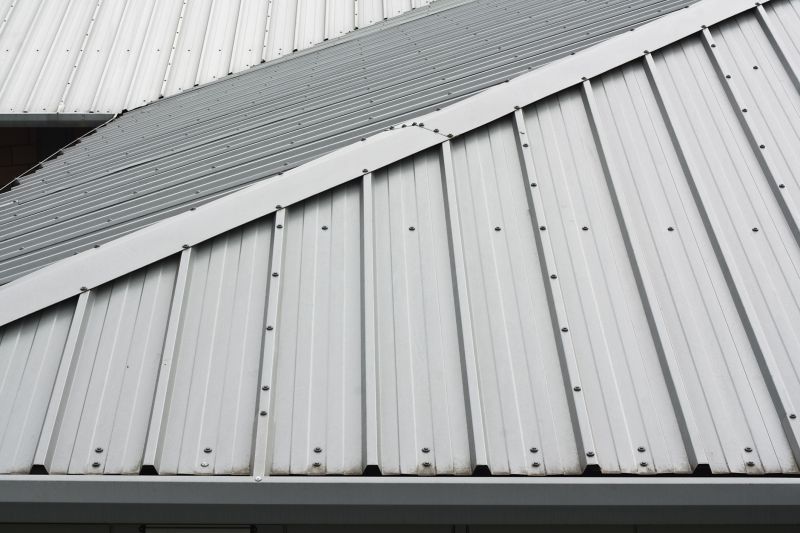 Metal Roofing Service detail